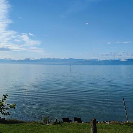 Birkhofer See Geniessen - Haus Seehang Immenstaad am Bodensee Buitenkant foto